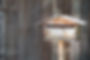 letter box.jpg