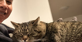 Neuer CHO hat seine Arbeit aufgenommen!