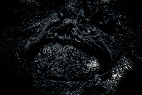 m.pichi_12-min.jpg