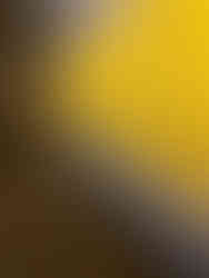 Figure 15. Edgar Calel, From the fog they will return (2025)