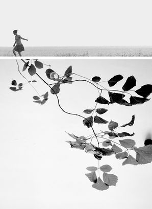DIPTYCH DIALOGUES