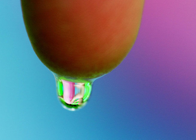 A colorful droplet hangs from a plant, reflecting vibrant pink and green. Background blends blue and purple hues, creating a serene mood.