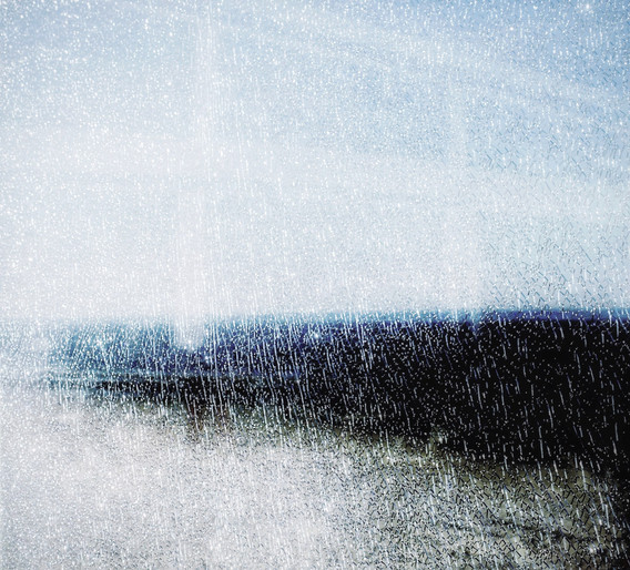 © Michele Polak