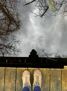 © Eileen MacAvery