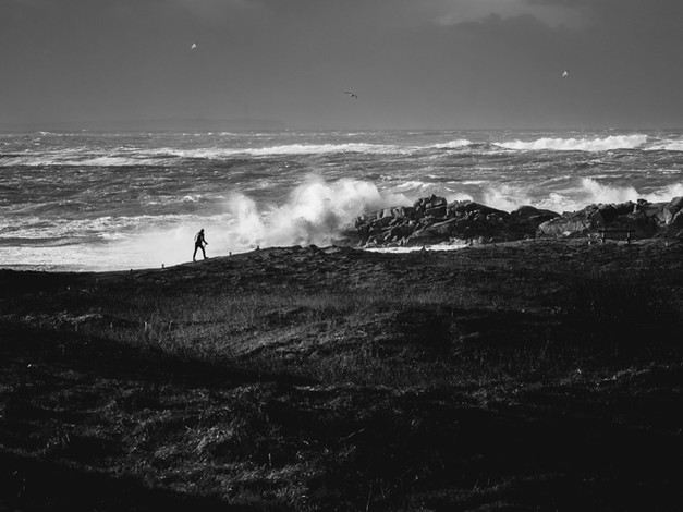 DAMIEN GORET
