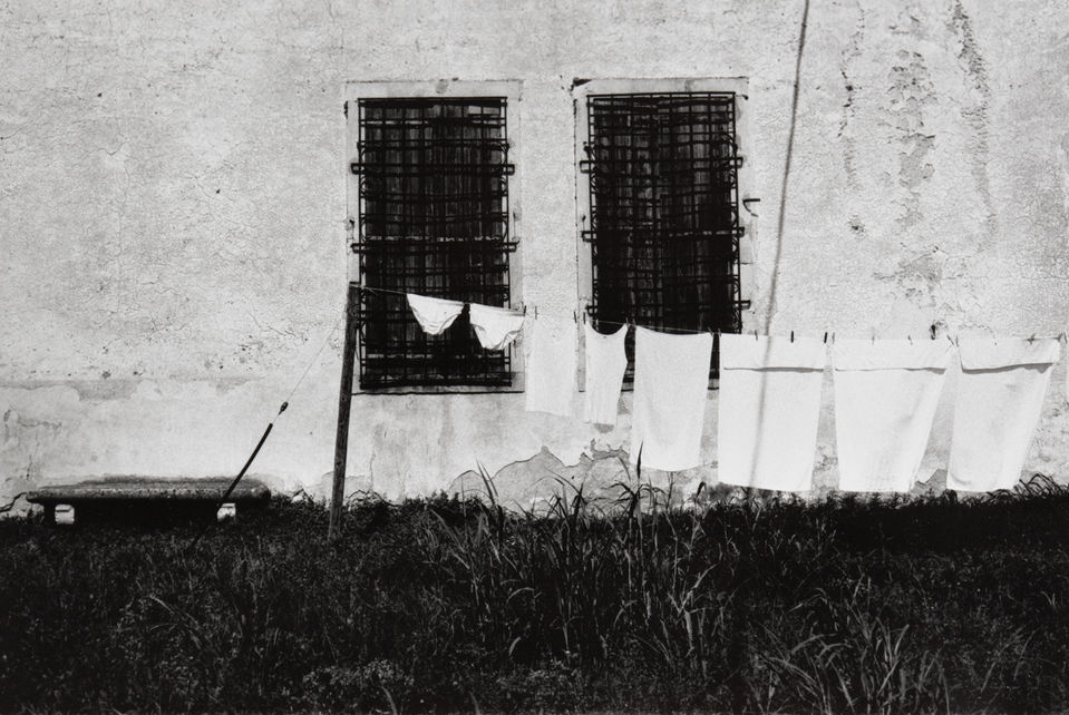 Nicola Cappellari