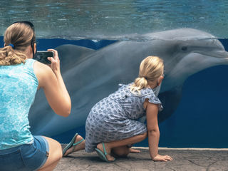 An Accidental Autobiography