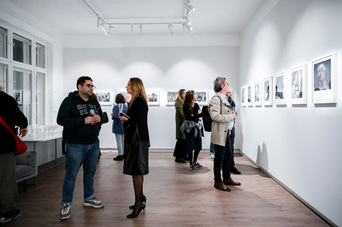 International Photography Awards