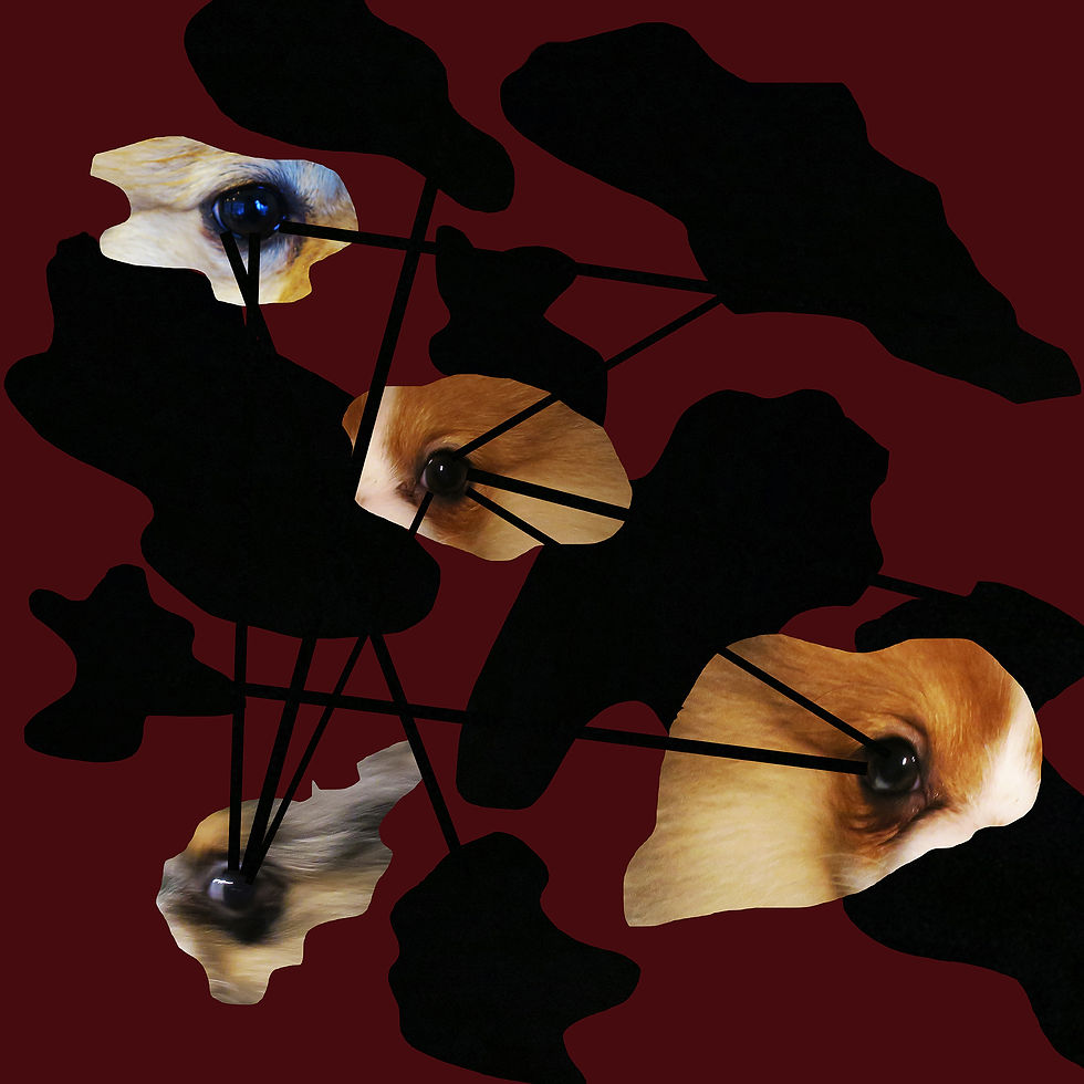 Abstract image with dog eyes peeking through organic black shapes on a dark maroon background. Thin black lines connect the eyes.