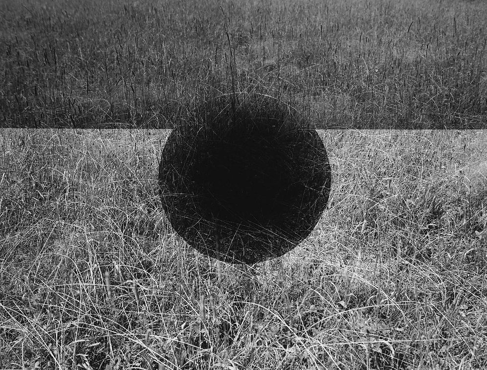 Black sphere casting shadow on dry grassy field in grayscale. The setting is serene with scattered wild plants in the background.