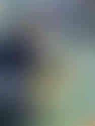 Figure 2. The gluing of the cyanotypes, 2026, photograph by Den Milenkovic