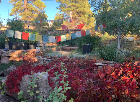 Autumn Colors