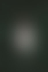 Bring the Woods to you - Jord Watches