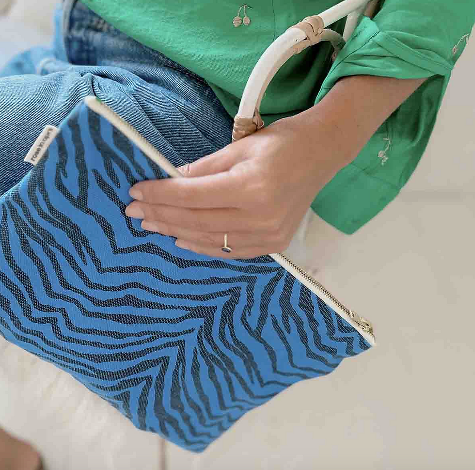 Miniature : Pochette Lili Zebrou