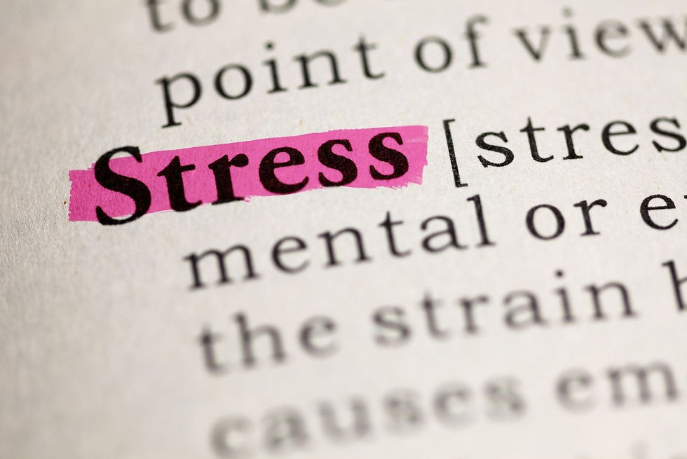 The word "Stress" highlighted within an abstract of text