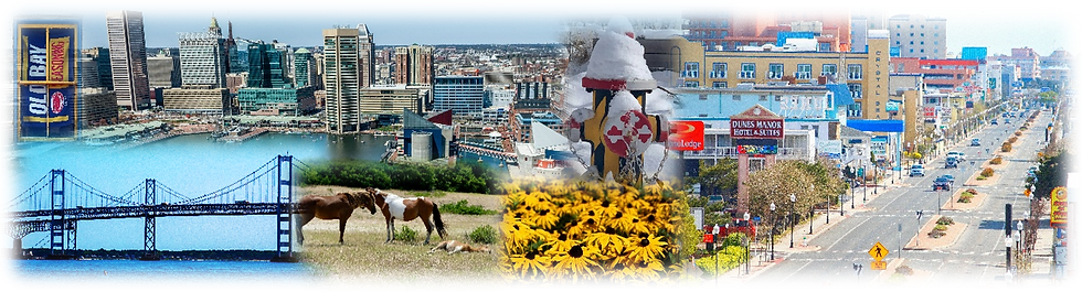 Maryland Banner.png