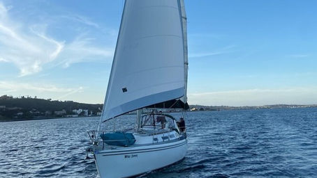 Highest Rated Boat Tours in San Diego