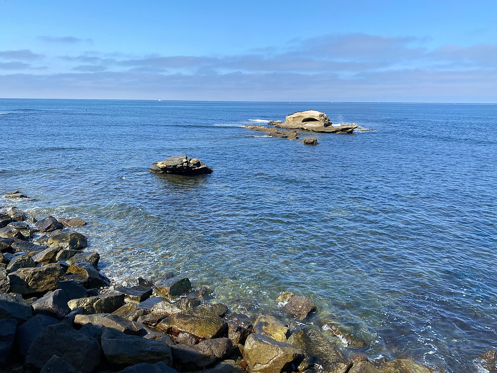 bird rock la jolla san diego