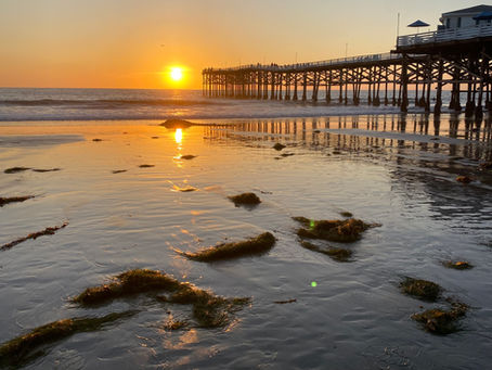 Things to Do at Sunset in San Diego