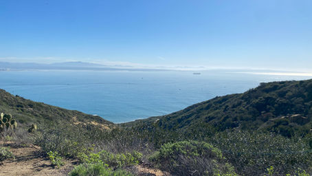 Guide to Cabrillo National Monument in San Diego