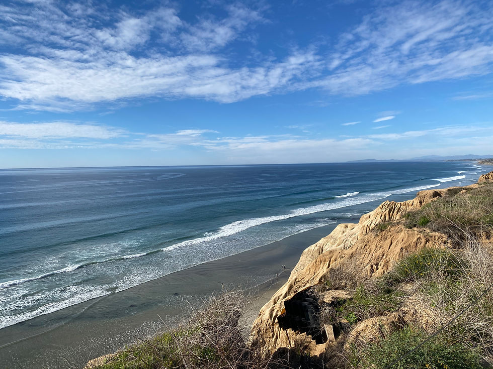 torrey pines la jolla beach san diego