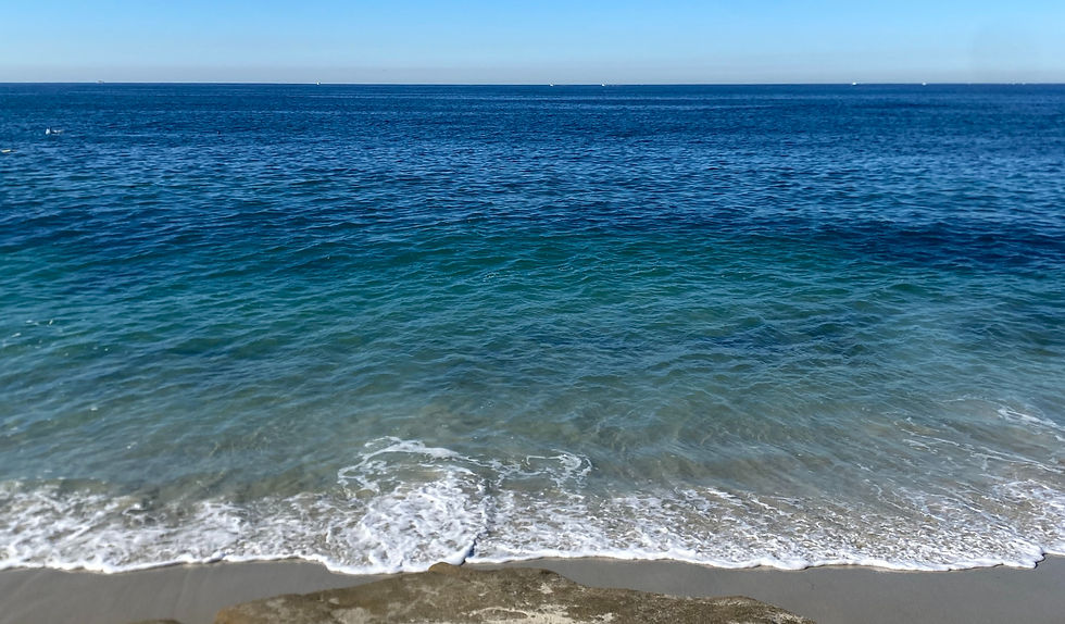 marine street beach la jolla