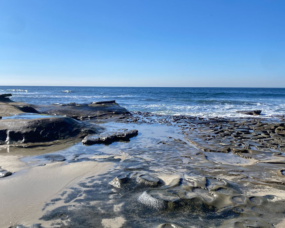 la jolla tide pooling san diego