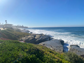 Best Beaches in San Diego During High Tide
