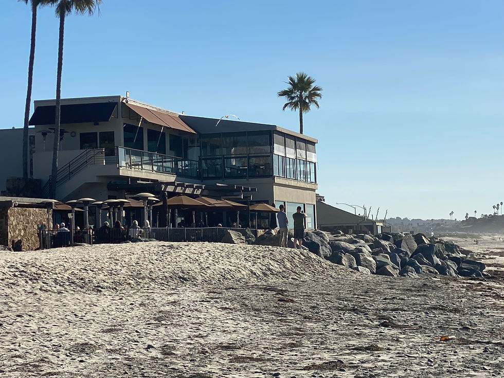 pacific coast grill on cardiff state beach