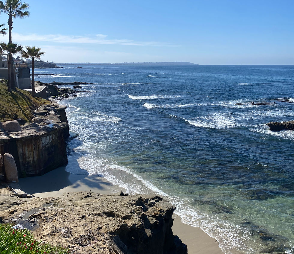 windansea beach la jolla