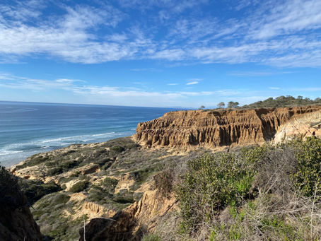 Weekend in San Diego: Must-See Things to Do Along the Coast