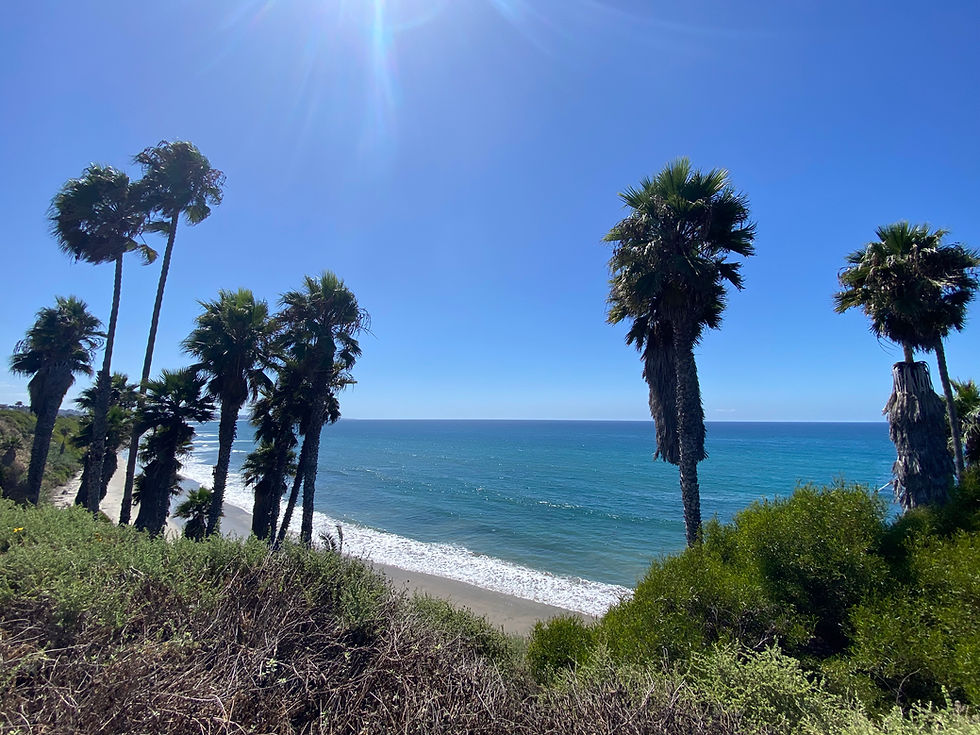 Swami's Beach Encinitas San Diego