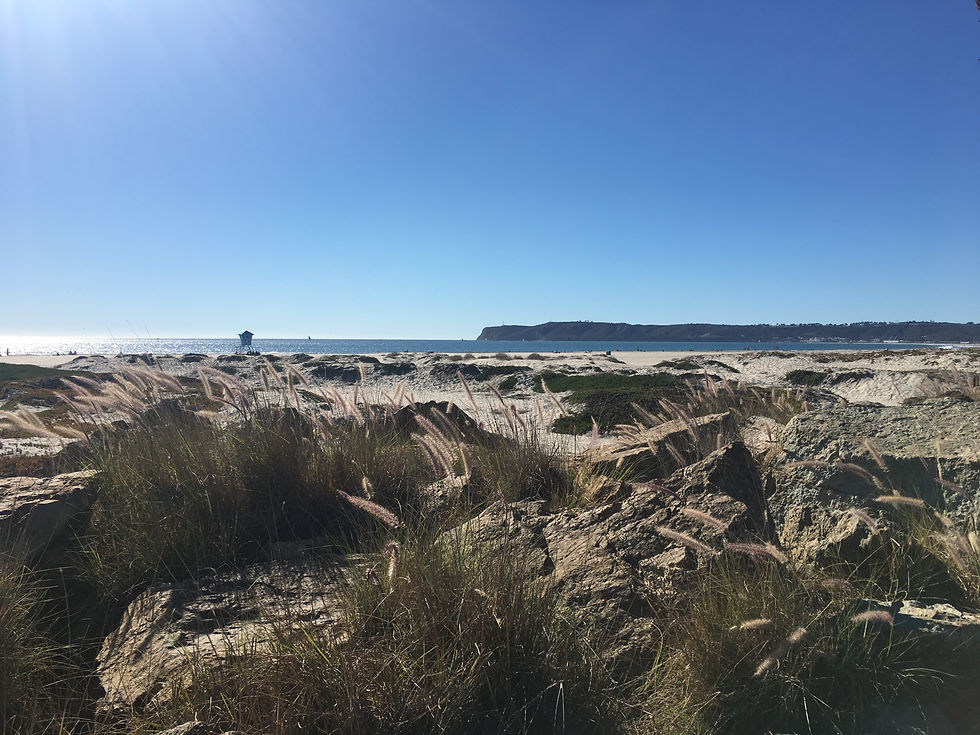 coronado beach san diego