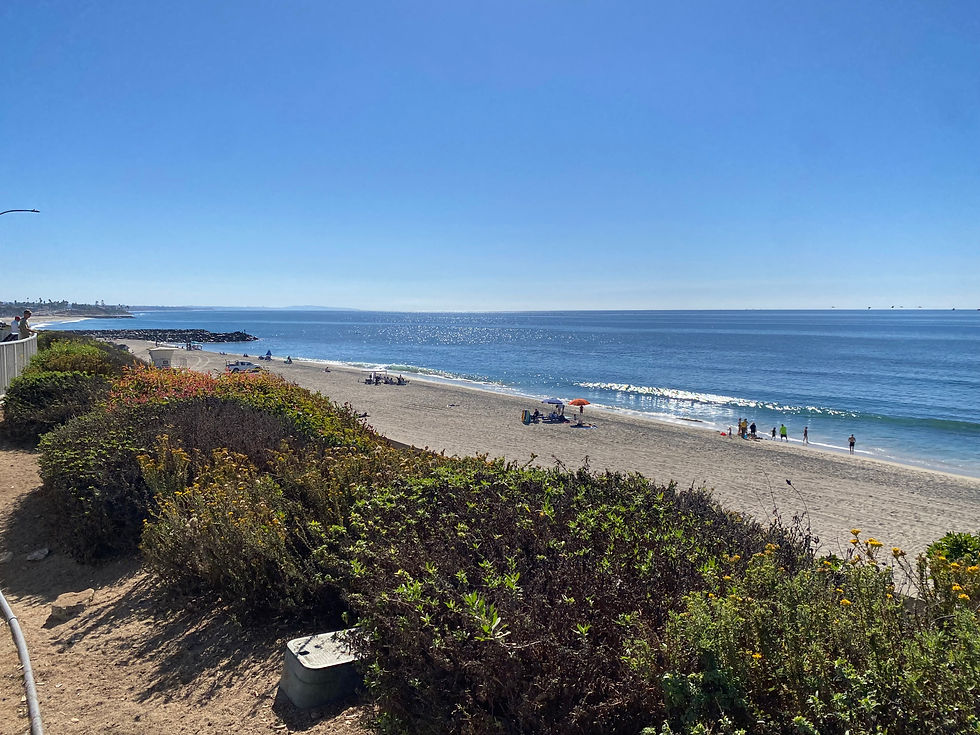 carlsbad state beach san diego