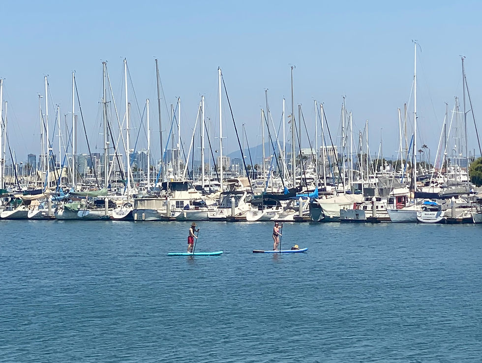 paddleboarders enjoying San Diego Bay with the downtown San Diego skyline in background