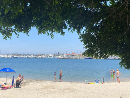 Hidden Coastal Gems in San Diego