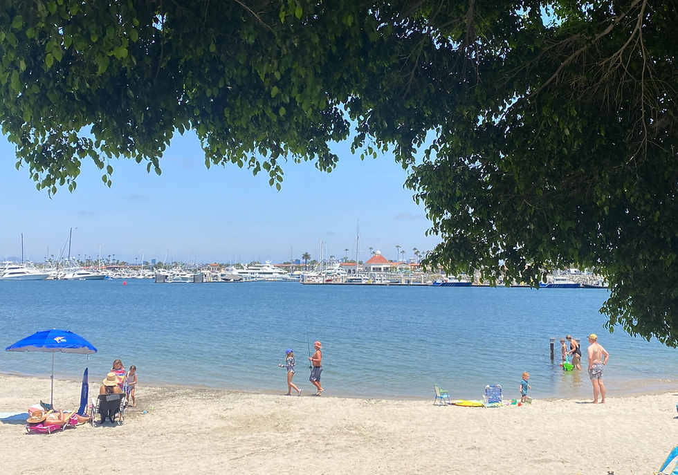 Hidden Coastal Gems in San Diego