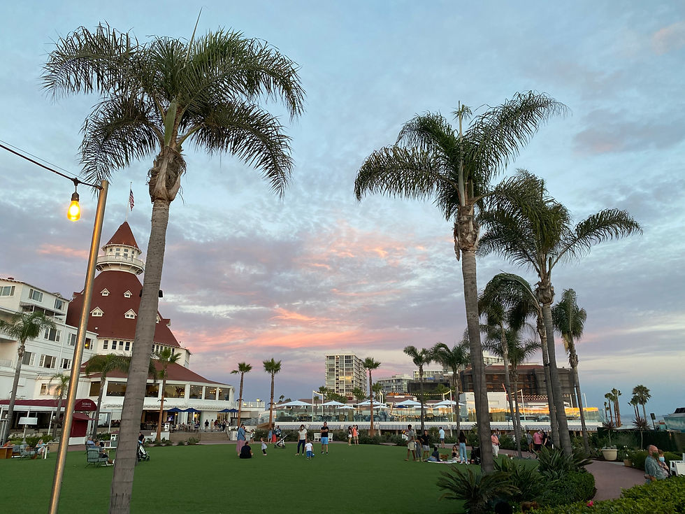 hotel del coronado on a warm summer night