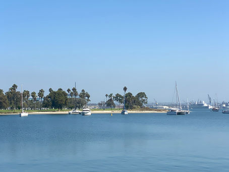 9 Tours in Coronado San Diego: Best Ways to Explore the Island