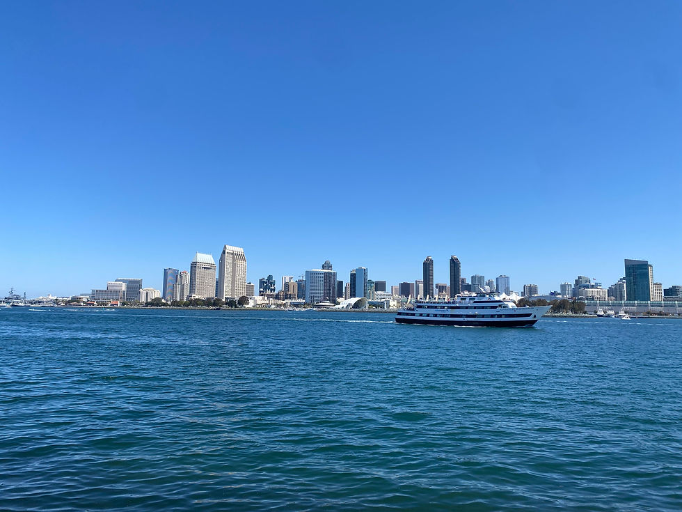 san diego skyline