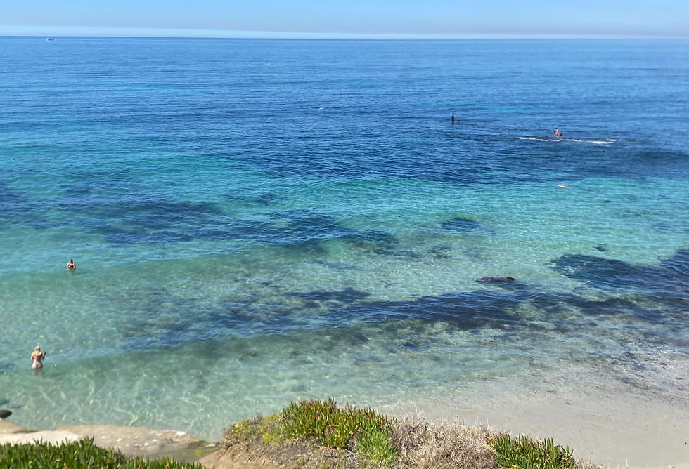 march beach day in san diego