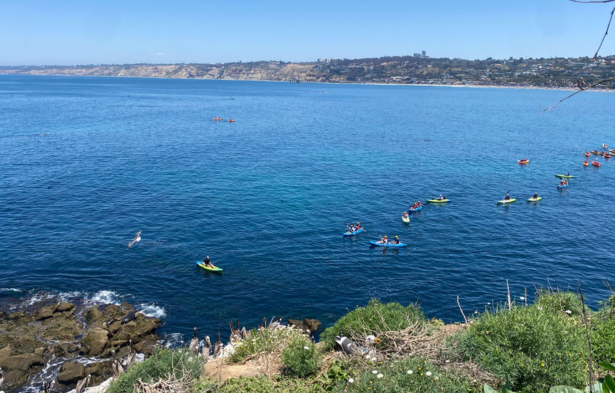 Best Tours to Book in La Jolla (Kayak, Snorkel, Sea Caves & More)