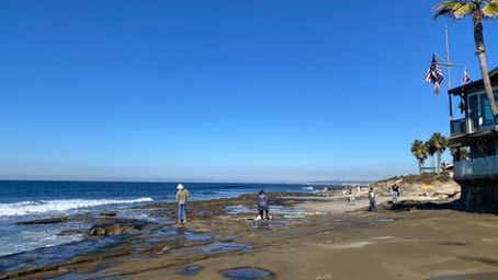 Family Friendly Coastal Activities in San Diego: Fun Things to Do with Kids & Teenagers by the Beach