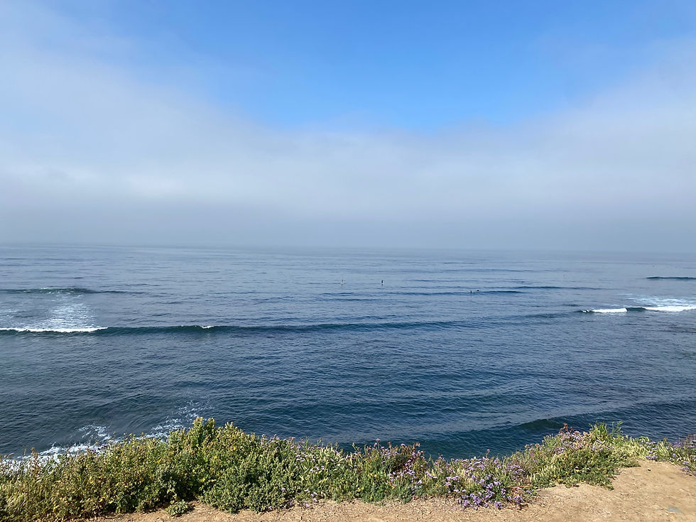 calumet park la jolla san diego bird rock yoga surfing