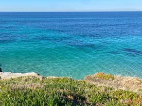 San Diego Beaches with the Clearest Water: Visibility & Conditions Guide