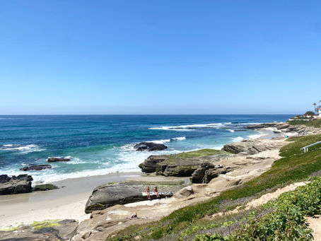 Spring on the San Diego Coast: What to Expect from March to May at the Beach
