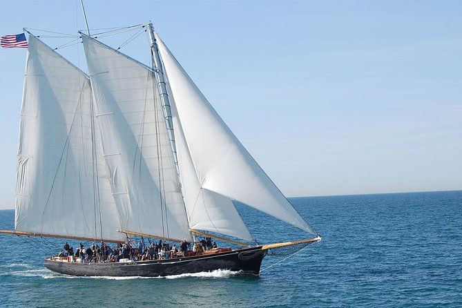 san diego whale watching tour