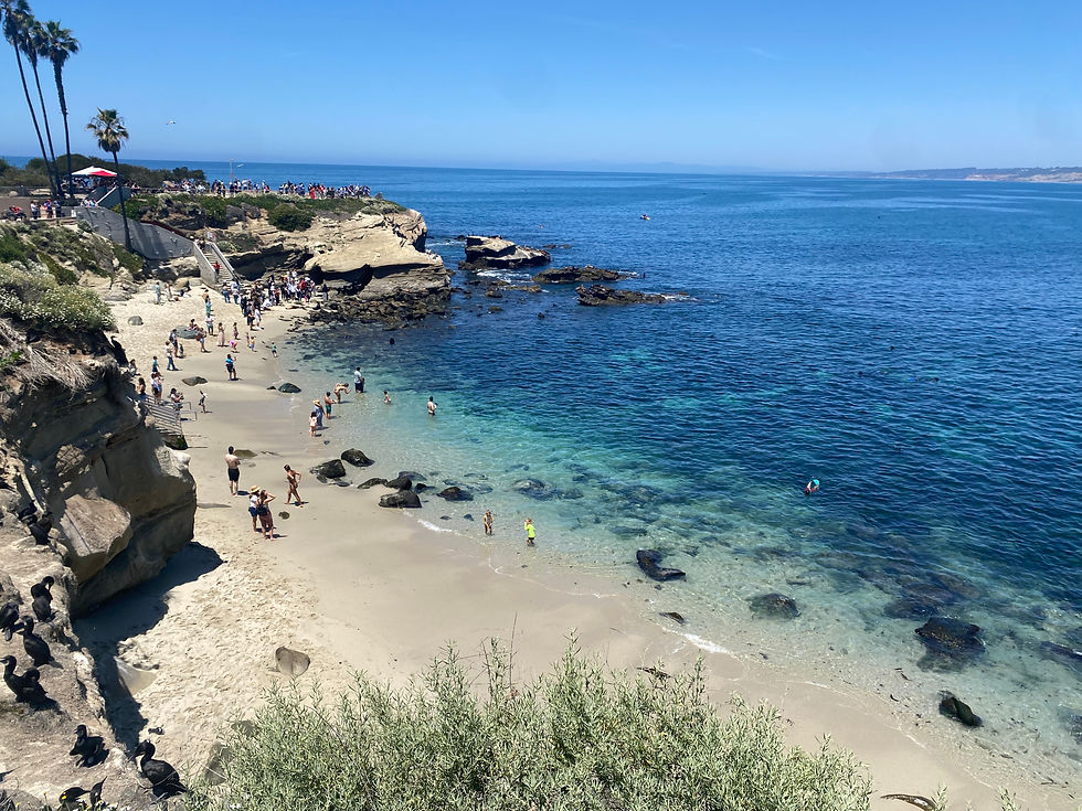 la jolla cove