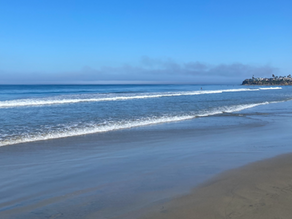 Pacific Beach Review: San Diego's Beach Hotspots