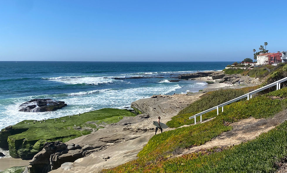windansea beach surfing